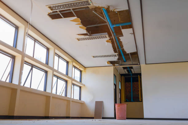 Best Water damage contractors near me  in Gramercy, LA
