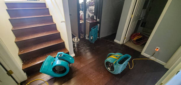 Best Water damage restoration process  in Gramercy, LA