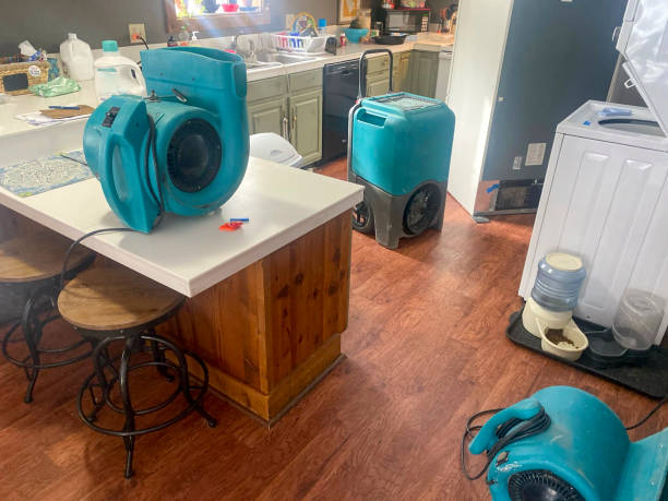 Best Water damage restoration near me  in Gramercy, LA