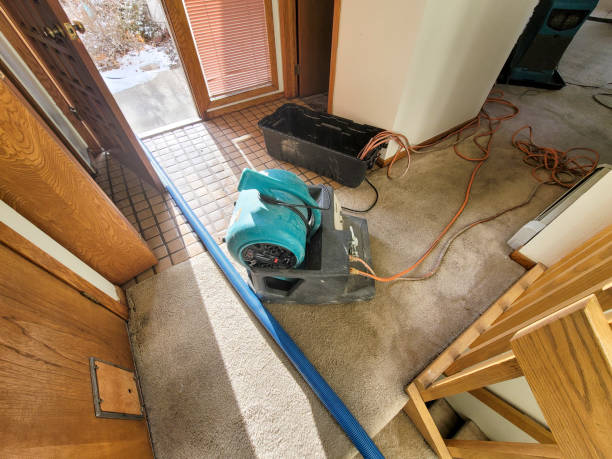 Best Fire Damage Restoration  in Gramercy, LA
