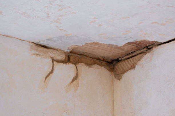 Best Flooded house restoration  in Gramercy, LA