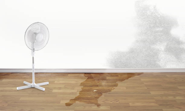 Best Water damage contractors near me  in Gramercy, LA