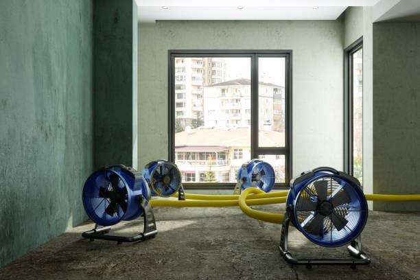 Best Ceiling water damage repair  in Gramercy, LA